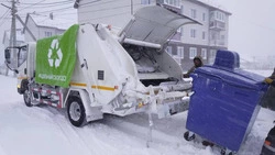 К раздельному сбору мусора привыкают только сознательные граждане?