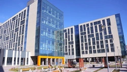 Поговорили о развитии высшего образования на Сахалине
