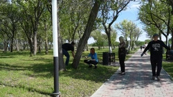 В Грушевом саду провели предпраздничный субботник