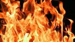 В Новотроицком в пожаре погибли коровы, свиньи и собака