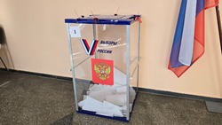 Результат выборов был предсказуем задолго до голосования