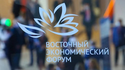 Опубликована архитектура деловой программы ВЭФ-2024