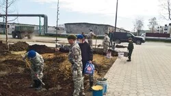 Юные патриоты высадили 14 саженцев в сквере имени героя-анивчанина