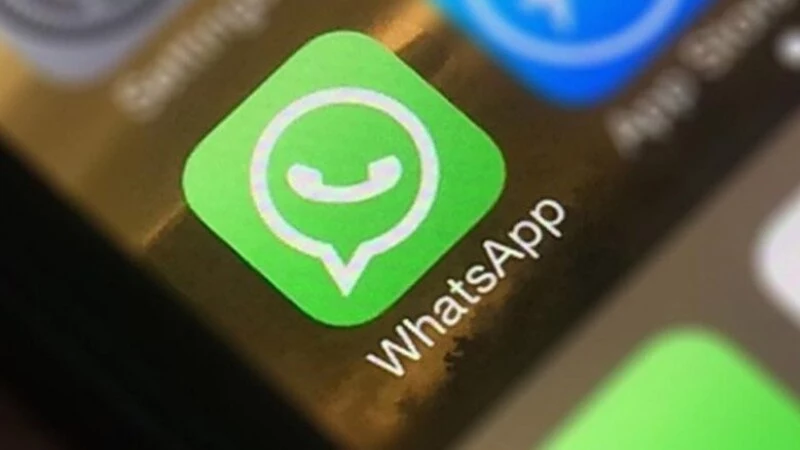 Группа села Ново-Троицкое в «WhatsApp» – одна из самых активных