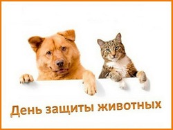 Всемирный день защиты животных 2024: милые картинки и открытки  
