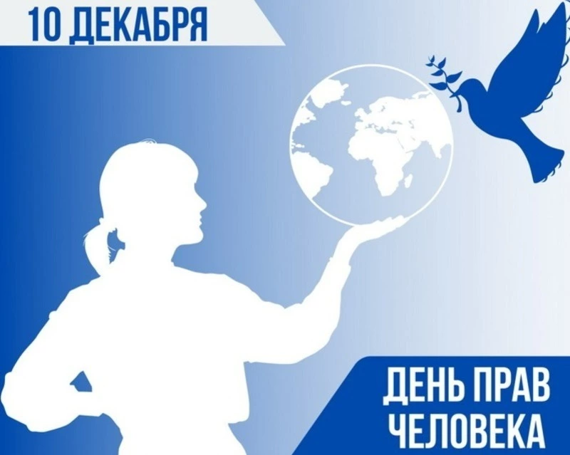 С Днем прав человека 2024: картинки и открытки к празднику 