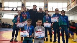 Победы на борцовском ковре