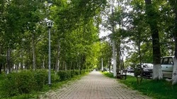Аллея памяти: с 23 до 29 августа предстоит открытое онлайн-голосование