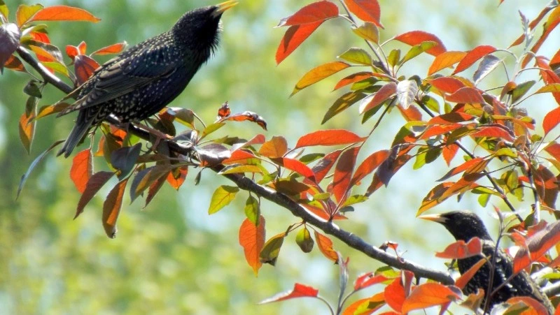 Народные приметы на 29 сентября 2024: традиции, поверья, что нельзя делать в день Ефимии