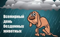  Всемирный день бездомных животных-2024: картинки и открытки