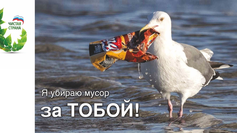 Уборку на взморье перенесли из-за плохого прогноза погоды