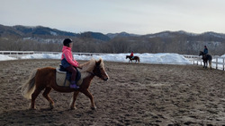 Огоньковские лошади помогают детям научиться доверять миру