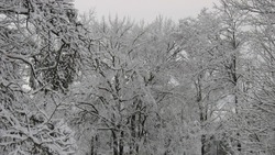 Сильный ветер и снег: погода на Сахалине и Курилах 1 февраля  