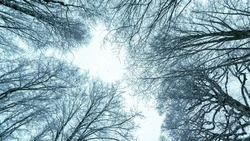 Прогноз погоды на 27 февраля: Сахалин накроет снег, на Курилах разыграется метель 