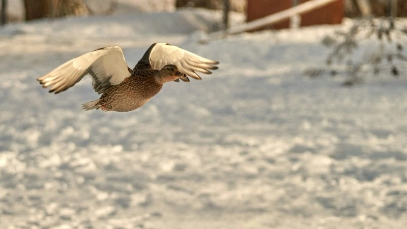 Народные приметы 24 марта 2024 года — что нельзя делать