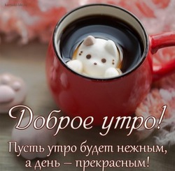 Красивые картинки и открытки с добрым утром, которые согреют душу 