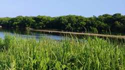 Купание в Лютоге запрещено, вода не соответствует требованиям