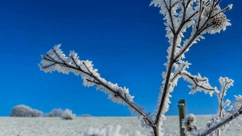 Церковный праздник 8 февраля 2024: что нельзя делать в этот день 