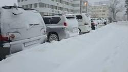 Мороз и солнце: как изменится погода в Сахалинской области на предстоящей неделе  
