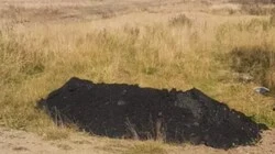 Нарушителя нашли и строго предупредили