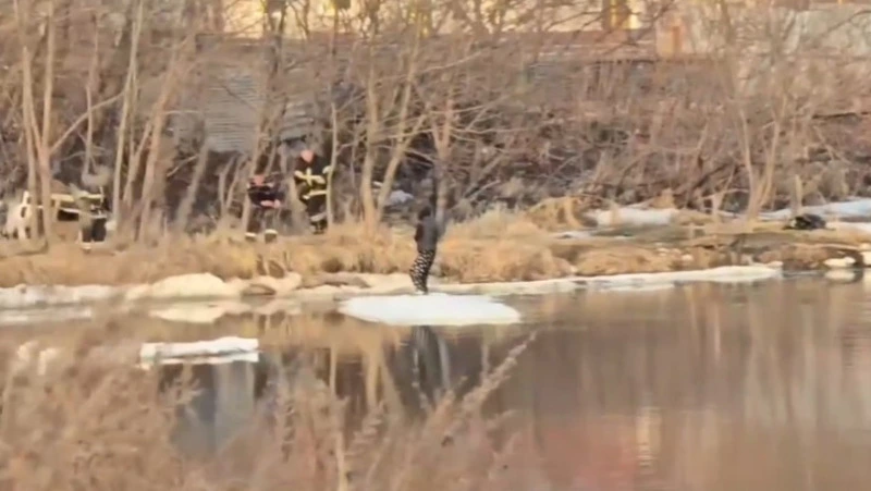 В Аниве чуть не произошла трагедия с подростком