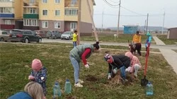 Послепраздничные субботники в округе