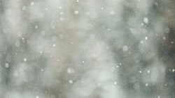 Небольшой снег и +1 градус: погода в Сахалинской области 15 февраля   
