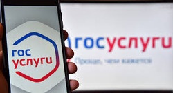 Работает единое окно на «Госуслугах» для подачи всех обращений от предпринимателей