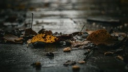 Резкое ухудшение погоды ожидается в Сахалинской области 23 октября