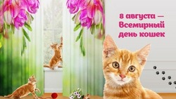 Всемирный день кошек 2024: картинки и открытки   