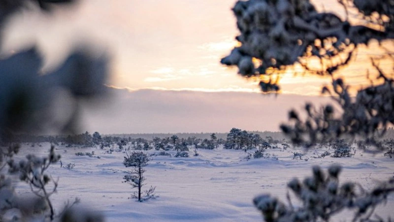 Погода на Сахалине и Курилах 7 марта: ветер с севера и до -12 градусов днем 