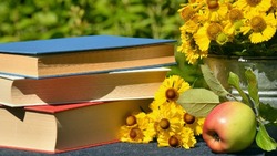 10 цитат Пушкина, которые перевернули русскую поэзию: их должны знать все 