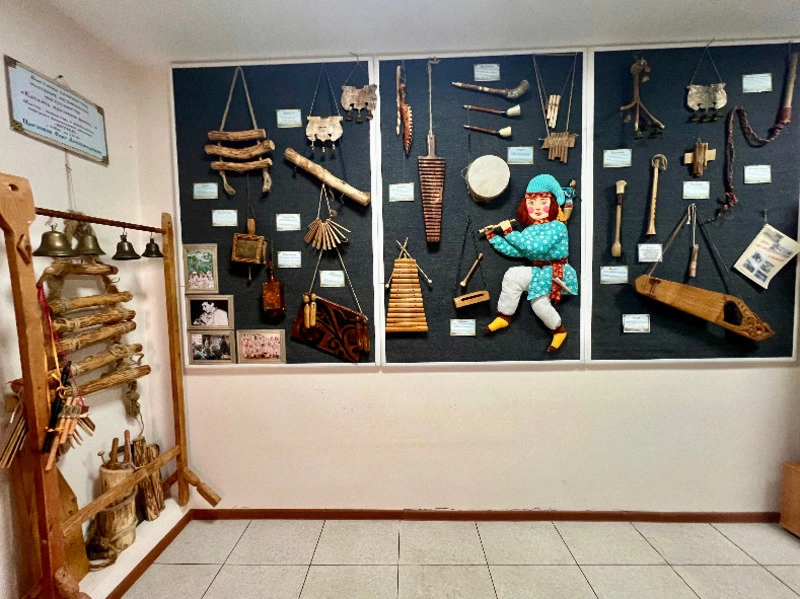 В библиотечном музее открыли выставку уникальных народных инструментов