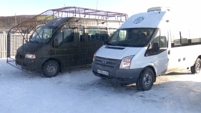 Землякам в зону СВО передали автомобили и пиломатериал