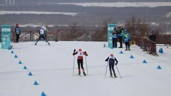 В области провели фестиваль ГТО