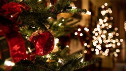 Тест: елка, которую вы увидите первой, расскажет, как вы встретите Новый год 