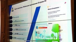Сенаторы и депутат ГосДумы высоко оценили систему управления Сахалинской области