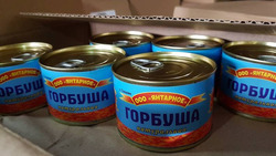 Сахалинские рыбаки отправили партию гуманитарной помощи в Донбасс