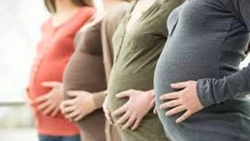 Анивский район передаст опыт поддержки беременных женщин новым территориям