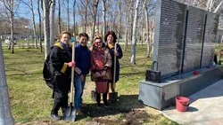 В сквере Победы анивчане высадили рябиновую аллею