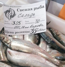 Объёмы продаж свежего улова у нас в области выросли