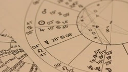 Этот знак зодиака станет фаворитом Змеи: гороскоп на 2025 год для Водолеев 