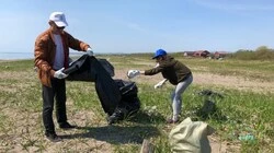 На таранайском пляже тоже провели субботник