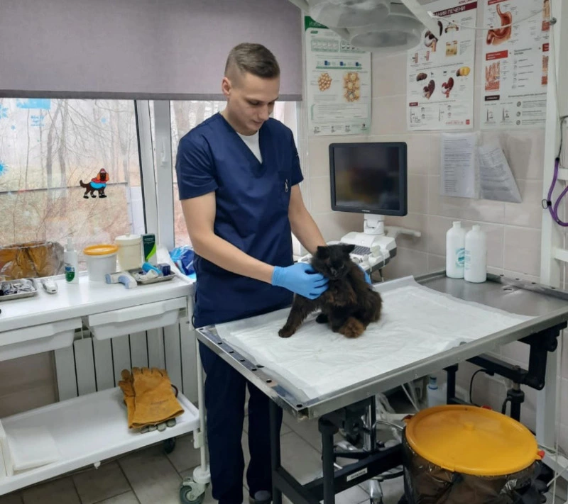 У ответственных хозяев питомцы имеют не только клички, но и благозвучные человеческие фамилии…