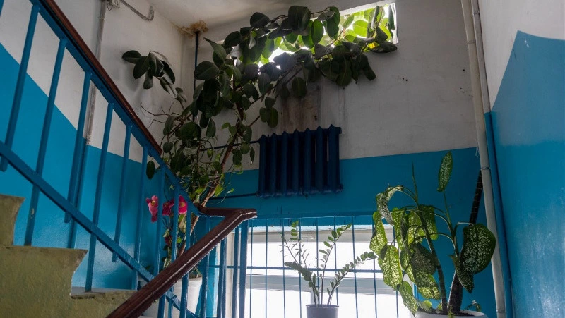 Жильцы дома №1 по ул. Новая в Таранае сделали свой подъезд самым уютным