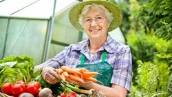 Затраты на коммуникации к дачам и  огородам возместят