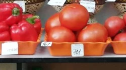 Народный контроль от «Единой России»