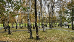Ночные заморозки и слабый снег ожидаются в Сахалинской области 31 октября 
