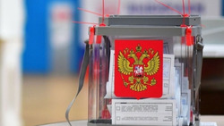 В регионе обеспечили открытость выборов Президента РФ