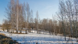 Какая погода ожидается на Сахалине и Курилах 29 марта 